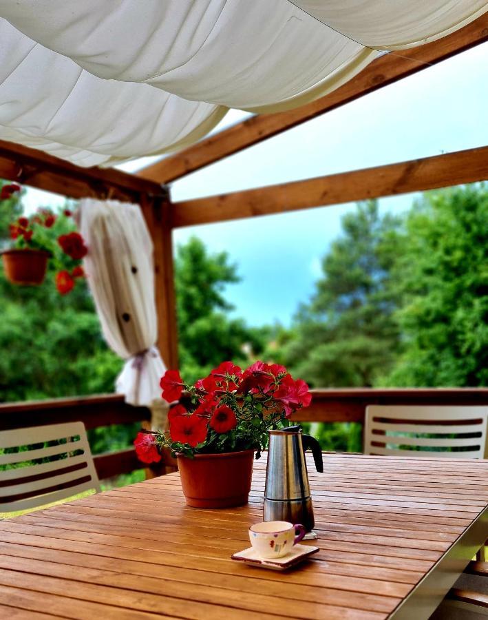 Trasa S7 W 2H Z Warszawy I Gdanska, Jadamowo Holidaymazury, Jacuzzi, Jezioro Olsztynek Dış mekan fotoğraf